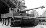 Tigeri01